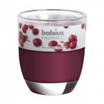 Sviečka boleus